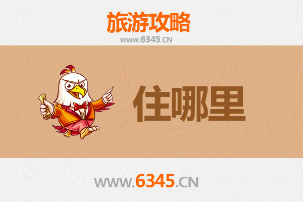 新乡封丘旅游民宿全攻略：沉浸式体验黄河畔的田园牧歌